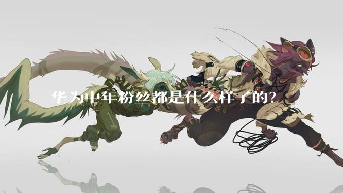 华为中年粉丝都是什么样子的？