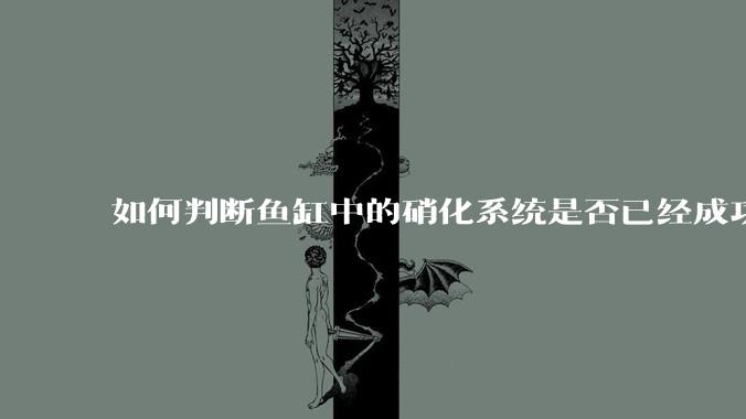如何判断鱼缸中的硝化系统是否已经成功建立？