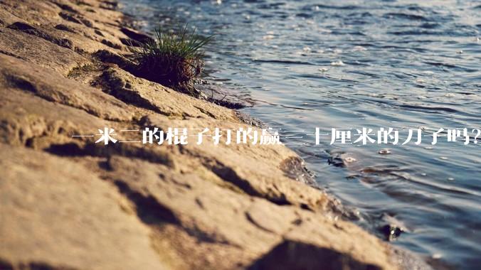 一米二的棍子打的赢三十厘米的刀子吗？