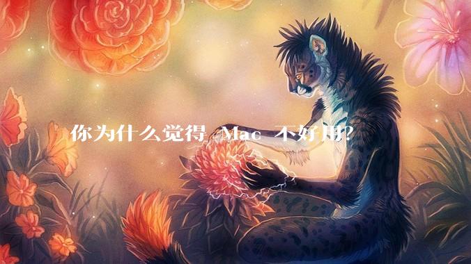 你为什么觉得 Mac 不好用？